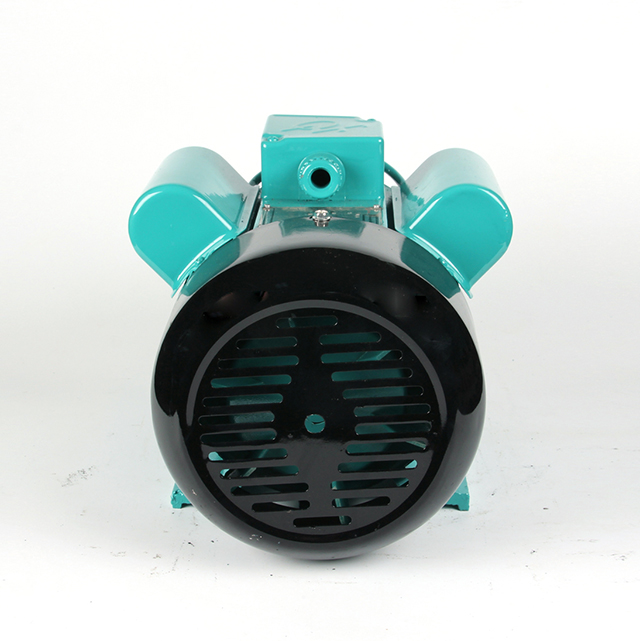 single phase motor 220v