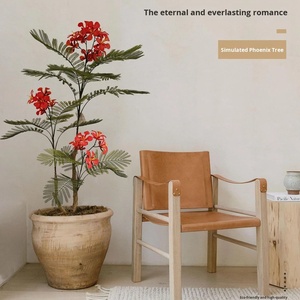 ต้นไม้ประดิษฐ์ขายส่ง ต้นไม้ฟลามโบยันต์ ต้นไม้พลาสติกโรยัลพอยน์ซิอาน่าที่เป็นมิตรกับสิ่งแวดล้อม สำหรับตกแต่งสำนักงาน ห้องนั่งเล่น และบ้าน - Product Image 3