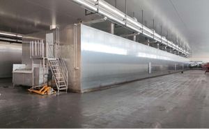 Túnel continuo Congelador Túnel Congelador Pan IQF Túneles de congelación Congelador - Product Image 3