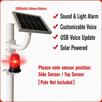 Lampu Suar LED Tenaga Surya Tahan Air IP65 dengan Sensor Audio USB & PIR Microwave, Suar Alarm Plastik DSG12