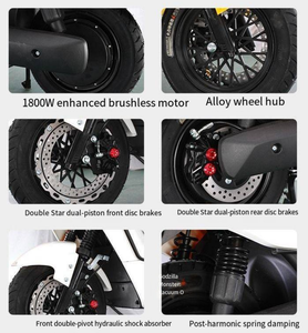 Scooter Eléctrico Watt Wheel, Modelo Little Prince, Motocicleta Eléctrica para Adultos, de Dos Ruedas, con Neumáticos Anchos y Batería - Product Image 5