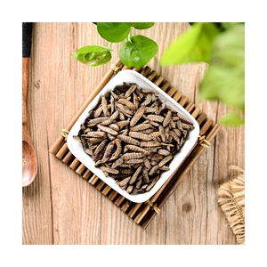 Larva <span class=keywords><strong>de</strong></span> mosca <span class=keywords><strong>de</strong></span> soldado negro, alimento rico en proteína ecológica, insectos frescos, gran oferta - Product Image 4