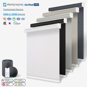 Cordless Electric <strong>Window</strong> Roller Blinds Operated Wifi Smart <strong>Automatic</strong> <strong>Solar</strong> Electric Blinds Motorized Roller Blind Shades - Product Image 1