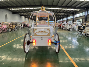 HengYiSheng Carrosse Électrique Citrouille Royale - Utilisation Mariages et Parcs d'Attractions Origine Henan - Product Image 4