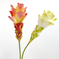 BH260824 Tropische Kunstmatige Gemberlelie Kunstmatige Kurkuma Bloem Enkelstengel voor Huisdecoratie Bruiloft Hotel Lobby Bloemendecoratie