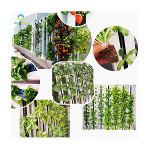 ผนังไฮโดรโปนิกส์ซิป ความสูงที่กําหนดเอง ไฮโดรโปนิกส์ซิปเติบโตทาวเวอร์ซิปแนวตั้งไฮโดรโปนิกสําหรับเรือนกระจกทางการเกษตรผักกาดหอม - Product Image 5