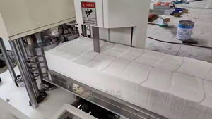 Mini máquina plegadora automática de servilletas Línea de producción de embalaje de servilletas de varios tamaños con componentes de núcleo de Motor de rodamiento PLC - Product Image 3