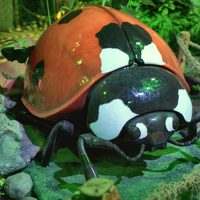 Décorations d'intérieur en métal anti-rouille personnalisables, modèles populaires d'attractions animales pour parcs, avec motifs d'insectes et de paysages, pour la photographie