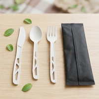 Couverts jetables couteau fourchette cuillère noir blanc ou coloré 166mm 170mm Usine de Suzhou 100% compostable