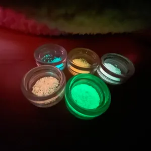 Penjual teratas Makeup kosmetik Glow In The Dark Glitter untuk Halloween