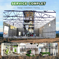 Machine d'alimentation animale RICHI pour volailles à base de soja - Usine de fabrication d'équipements de production de granulés pour volailles Afrique du Sud Zimbabwe