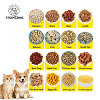 Assortiment de 29 Viandes OEM ODM, Snacks Lyophilisés 60g/100g/250g, Friandises en Conserve Riches en Protéines pour Toutes les Races de Chats et de Chiens