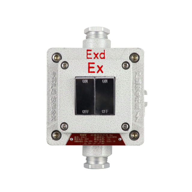ATEX Lighting Switch 10A 220V IP66 Explosion Proof Flush Mounted 2 Gang 2 Way Push-button Wall Switch for Hazardous Area