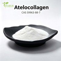 Poudre d'Atelocollagène Type I à Faible Irritation, Collagène Triple Hélice pour Peaux Sensibles, Réparation Post-Procédure, Matière Première Cosmétique