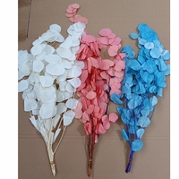 Feuilles d'eucalyptus séchés, 10 pièces, de haute qualité, plantes décoratives, naturelles