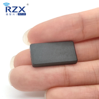 Lavable impermeable 125Khz 12*22*3MM T5577 PPS Material para sistema de lavado de ropa