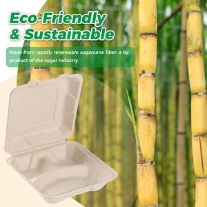 กล่องอาหารแบบมีบานพับทำจากเยื่อกระดาษชานอ้อย ย่อยสลายได้ทางชีวภาพ - Product Image 2