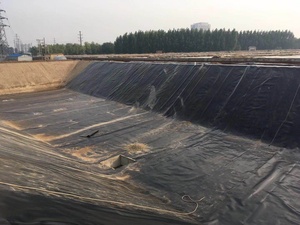 Géomembrane HDPE Barrière anti-racines de <span class=keywords><strong>bambou</strong></span> 1mm 2mm Revêtement de décharge lisse 1.5mm 1mm Coût de revêtement Malaisie - Product Image 2