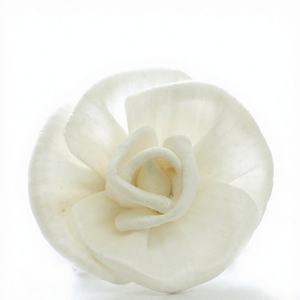 Vente en gros de fleurs artificielles en herbe de Sola, décorations d'intérieur écologiques faites à la main pour Noël - Product Image 1