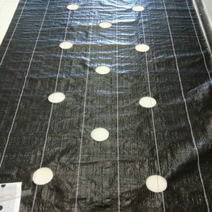 Hot Sale Woven Ground Cover Fabric PP Woven Fabric or <b>Cloth</b> for Agriculture or Greenhouse - Product Image 1