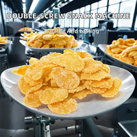 Nouvelle ligne de production de céréales pour petit-déjeuner, extrudeuse à double vis, équipement complet, four de cuisson, transformation de snacks multigrains