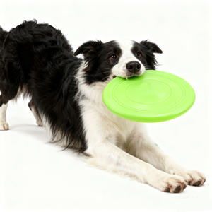 Juguete de Entrenamiento para Mascotas con Logotipo Personalizado de Fábrica, Discos Voladores de Goma Suave para Perros, Juguetes Interactivos para Perros, Resistentes a Mordidas - Product Image 2