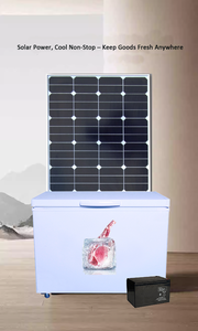 Congélateur portable à énergie <span class=keywords><strong>solaire</strong></span> 12V de 100L à 700L pour usage domestique et hôtelier, économie d'énergie, respectueux de l'environnement, <span class=keywords><strong>réfrigérateur</strong></span> à <span class=keywords><strong>compresseur</strong></span> CC - Product Image 3