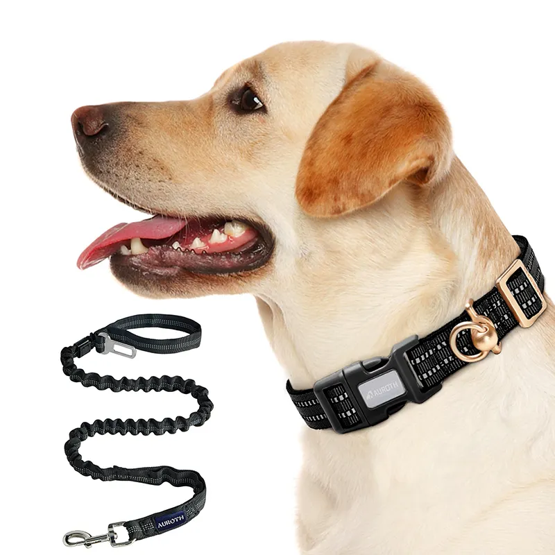 Reflective Dog Leash Adjustable Dog Collar Nylon Pet Safety Rope Lead Collar Set