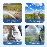 Fontaine professionnelle QSP visualisation pompe Submersible 380V fontaine de Drainage des terres agricoles pompe Submersible