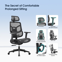 Chaise de bureau de luxe ergonomique en maille avec test BIFMA, service OEM/ODM personnalisé, Sillas De Oficina