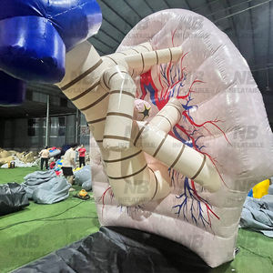 Modèle éducatif géant gonflable rose du cancer du poumon - Matériau PVC/Nylon imperméable pour événements médicaux et exposition d'organes humains - Product Image 5