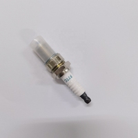 Bougie d'allumage authentique BR6ES, B8ES, B7HS, F7TC, B4ES, F6TC, BP8E, B7ES, BP7ES, BP6ES, B6ES, 20 pièces (en Stock), nouveau