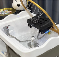 Meubles de salon lavage des cheveux évier de shampooing Portable avec tête de SPA thérapie par l'eau pour lit de beauté de Table de Massage thaïlandais