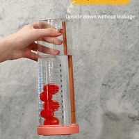 Koreaanse Stijl Plastic Mok Bpa-Vrije Thee Scheiding Infuser Water Fles Drinken Fruit Infusie Water Beker Met Stro