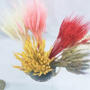 2025 la fleur de blé séchée en gros d'usine pour la décoration de maison/mariage pour <span class=keywords><strong>Bouquet</strong></span> de fleurs - Product Image 5