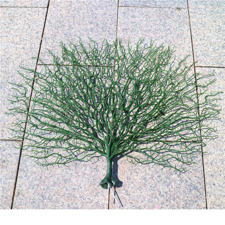 Double  Green Coral branches