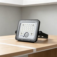 Projecteur LED solaire pour extérieur, rechargeable, pour jardin