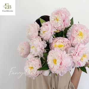 ดอกโบตั๋นผ้าไหมเทียมสีขาวสัมผัสเหมือนจริงดอกโบตั๋นที่เก็บรักษาไว้3หัวสำหรับตกแต่งบ้านงานแต่งงานวันแม่วันฮาโลวีนอีสเตอร์ - Product Image 4