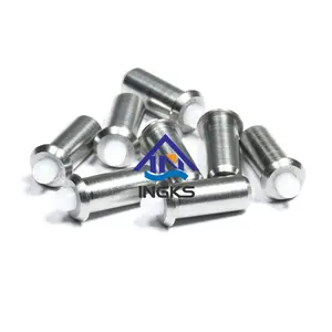 Professional China Supplier Ingks Customized Acetal Plastic Point Stainless Steel Spring Plungers