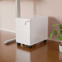 Classeur vertical en métal à 2 tiroirs OEM Classeur à tiroirs en acier de style moderne pour le stockage à domicile et au bureau
