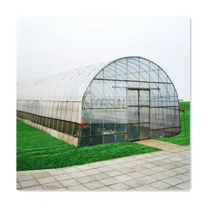 非洲天气农业完整冬季水培8X20塑料紫外线圆顶温室