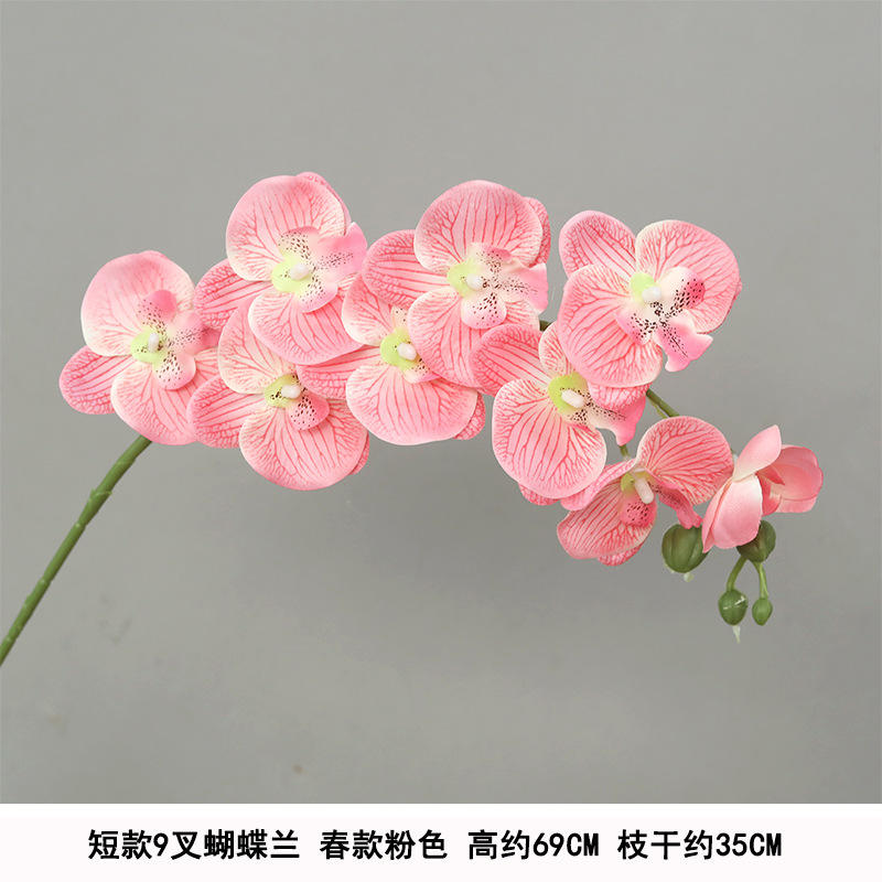 สั้น9หัว Phalaenopsis ผ้าไหมสีชมพู