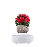Mesa de interior ornamental, escritorio de oficina, maceta decorativa para bonsái flotante de hierbas poco profundas, artículos para el hogar, macetas para plantas