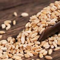 Grosir Fu Xiao Mai Bahan Berkualitas Tinggi dari Cina Varietas Fructus Tritici Levis Lengkap