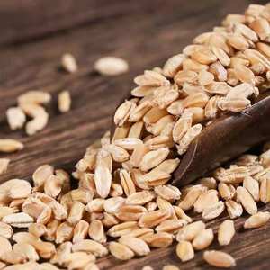 Venta al por Mayor de Fruta Fu <span class=keywords><strong>Xiao</strong></span> <span class=keywords><strong>Mai</strong></span>, Materiales Chinos de Alta Calidad, Variedad Fructus Tritici Levis Completa - Product Image 3