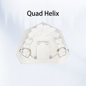 อุปกรณ์จัดฟันแบบ Quad Helix สำหรับขยายหลังคาฟัน แก้ไขปัญหาฟันกัดแบบไขว้ ปรับแต่งได้ตามต้องการ - Product Image 3