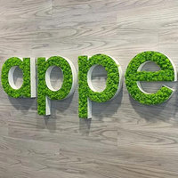 Logo d'entreprise personnalisé 3D lettres et symboles de mousse Art mural vert gazon artificiel mousse caractère signe décoration murale