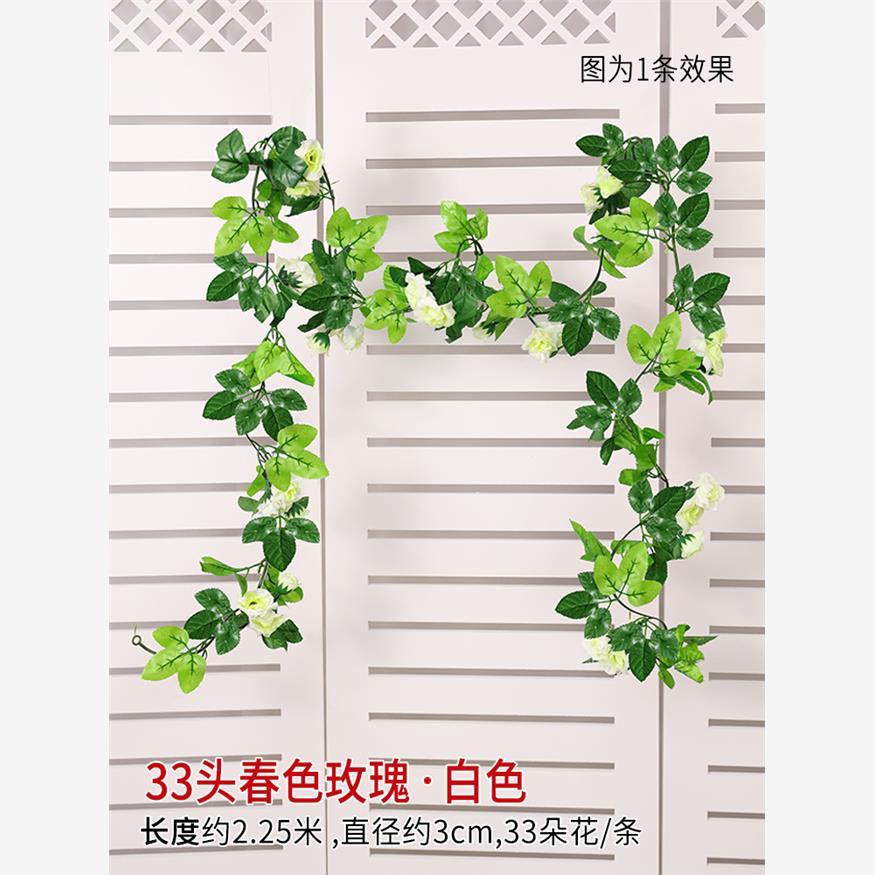 [Blanc 1] Vigne rose à 33 têtes