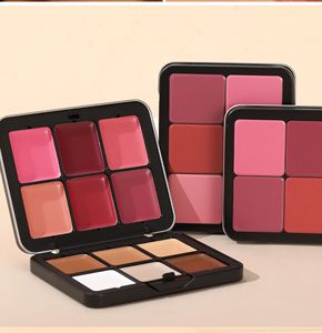 Palette di Blush Opaco Cremoso Impermeabile in 12 Colori con Pigmenti, Correttore a Lunga Durata, Trucco Viso Tutto-in-Uno - Product Image 2