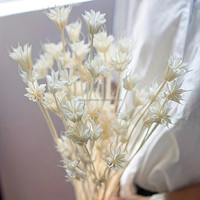Fleurs de glycine blanchies, fleurs séchées et préservées de couleur blanche, fleurs d'amarante et de fougère pour bouquet de mariage, décoration murale et intérieure